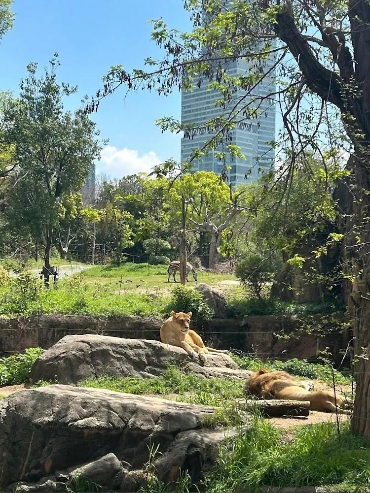Reifa宿泊動物園前1 Osaka 0*,